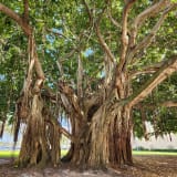 North Straub Park